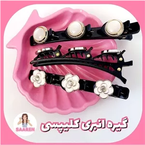 گیره انبری کلیپسی 