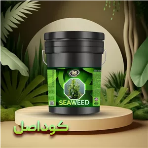 کود جلبک دریایی مایع اکسپلود 20 لیتری
