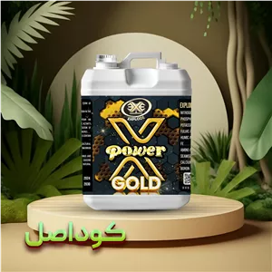کود ایکس پاور گلد اکسپلود 5 لیتری