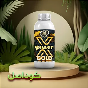   کود ایکس پاور گلد اکسپلود 1 لیتری