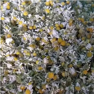 بابونه المانی اصلی دویست گرمی سرگل خالص خشک شده درجه یک امساله کشت مزرعه ارگانیک با ارسال رایگان