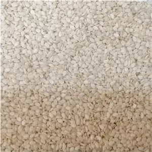 کنجد سفید خارجی (کیفیت عااالی) وزن 100 گرم (پس کرایه)