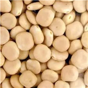 باقلا مصری 200 گرمی خشک شده تمیز (لوبیا گرگی)