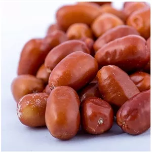 سنجد درجه یک مراغه