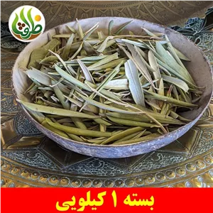 برگ زیتون درجه یک ظرافت 1 کیلویی