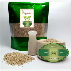 دانه کینوا (بسته 100 گرمی)