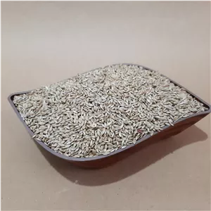 تخم کتان سفید - 500 گرمی