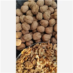 گردوی راحت شکن و خوش طعم صادراتی