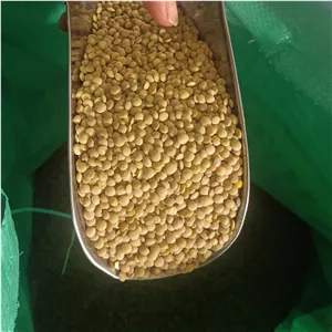 عدس خوش پخت  نیم کیلویی درجه ی یک امسالی (عدس ریز)