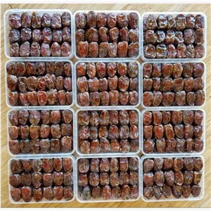 خرمای دانه درشت گوشتی یکدست کبکاب2کیلویی ارسال رایگان