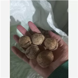 گردو تازه پوست نازک تازه 900 گرم 