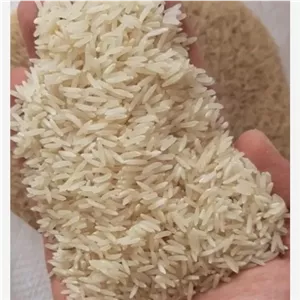 برنج فجرسوزنی امساله استان گلستان شمال شرقی
