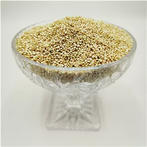 دانه کینوا 