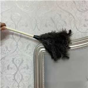 گردگیر پر شترمرغ درجه1