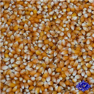 ذرت خام و تازه سبحان 250 گرمی (مخصوص پفیلا و پاپ کرن)