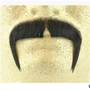 پروتز سبیل 1