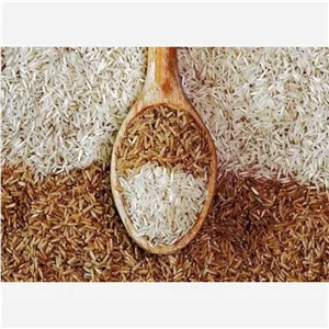 برنج قهوه ای شمال درجه 3 10 کیلویی اعلاء 