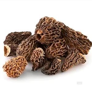 قارچ مورل خشک (Morel ) - 50 گرم