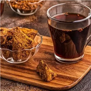 قارچ چاگا بسته 50 گرمی 