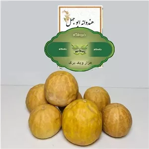  هندوانه ابوجهل .میوه حنظل (بسته 100گرمی)