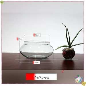ظرف شیشه ایی طرح پردیس کوچک (پس کرایه) 
