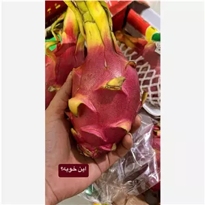 دراگون تو سرخ 