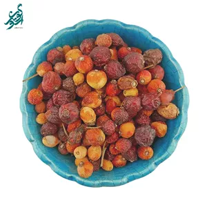 میوه نسترن