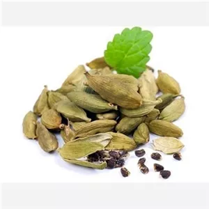 هلیله زرد (بسته 100گرمی)