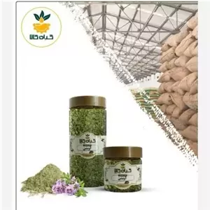 آویشن کوهی پودر شده با کیفیت ممتاز 100گرمی