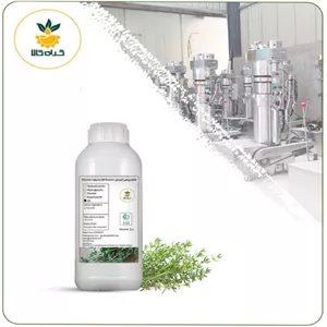 روغن آویشن خوراکی 1 لیتر 100% خالص اولیه ارگانیک برای عفونت واژن - الارز پلنت