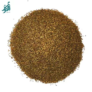 بذر کرفس
