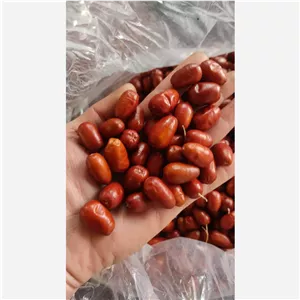 سنجد درشت قرمز درجه یک 500 گرمی 
