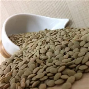 عدس درشت ممتاز فدک
