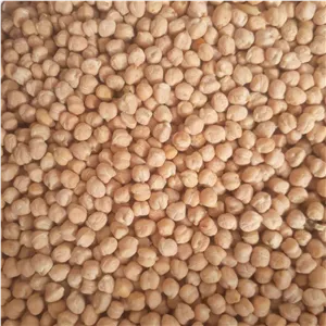 نخود اعلای کرمانشاه