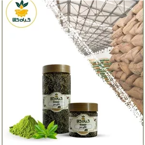 گیاه چای سبز  پودر شده با کیفیت ممتاز 250 گرمی