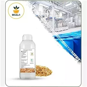 عصاره جوانه گندم مایع کیفیت خالص 1 لیتر (هیدروگلایکولی )گرید A+