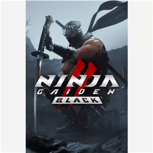 بازی کامپیوتری Ninja Gaiden 2 Black PC