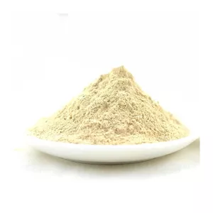 پودر موسیر پنجاه گرمی خالصو اعلا