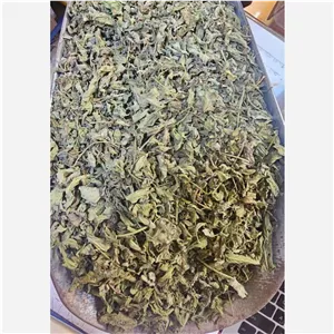 پونه کوهی کردستان