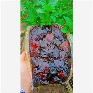 خرما کبکاب سنتی(ارسال رایگان) 