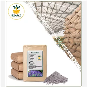 پودر اسطوخودوس هندی فله کیفیت عالی، بار امسالی و تازه(5 کیلوگرم)