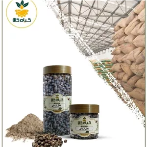 میوه نخل اره ای با کیفیت عالی بار امسالی و تازه(2کیلوگرم)