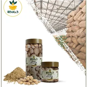  هسته زردآلو بار امسالی و تازه(50 گرمی)