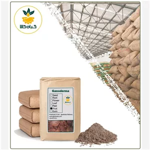 پودر گانودرما فله کیفیت عالی، بار امسالی و تازه (5 کیلوگرم )