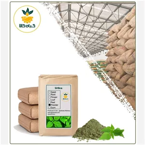 پودر گزنه فله با کیفیت عالی،بار امسالی و تازه(2کیلوگرم)