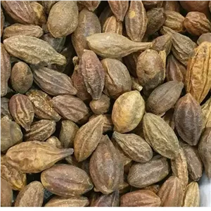 هلیله زرد 250 گرم