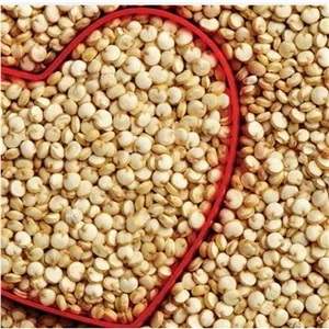 دانه ی کینوا یا خاویار گیاهی  اصل