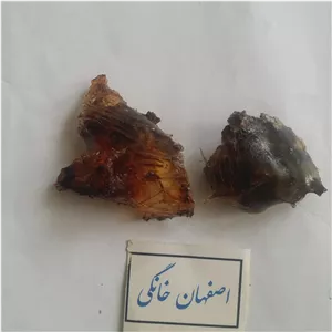 صمغ درخت آلبالو(خریداریم و فروشنده)