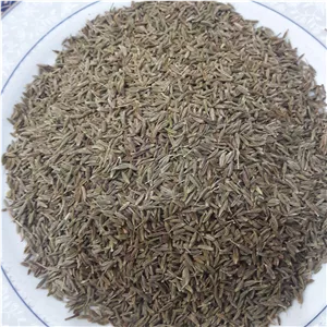 زیره سبز 100 گرمی
