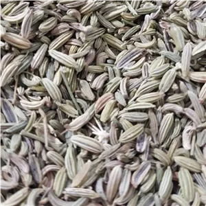 رازیانه اعلا (بادیان) 100 گرمی